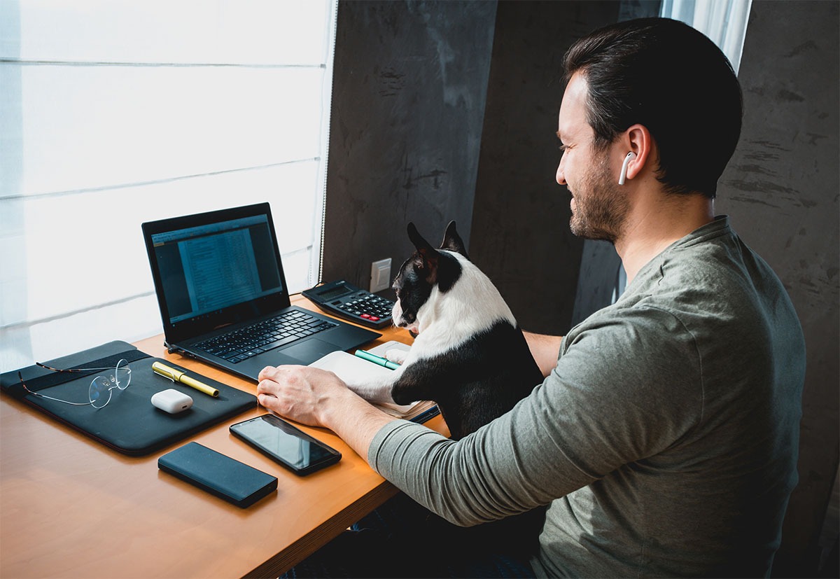 Freelancer man working from home with his dog sitting together in the office.Side view of man using laptop at home with cute dog